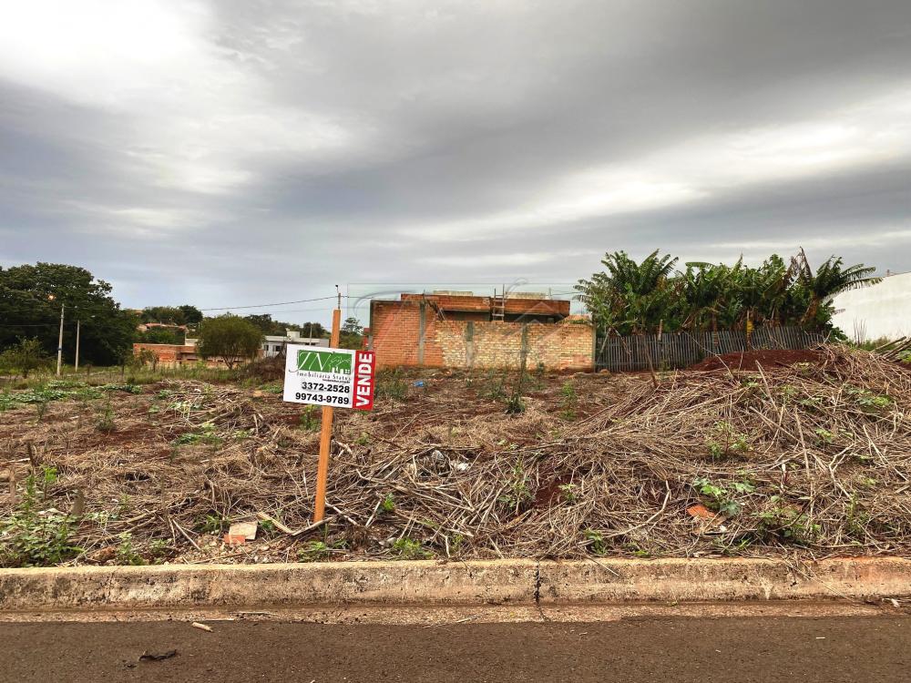 Terrenos - Lote - Jardim Paulista - Santa Cruz do Rio Pardo R$ 75.000