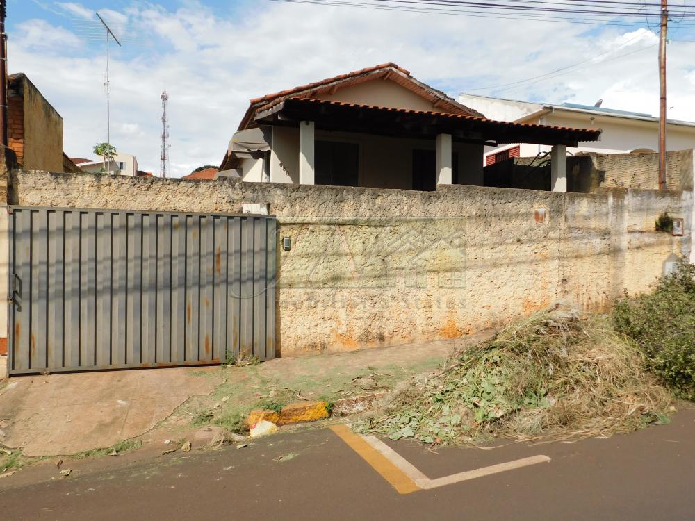 Alugar Residenciais / Casas em Santa Cruz do Rio Pardo R$ 800,00 - Foto 1