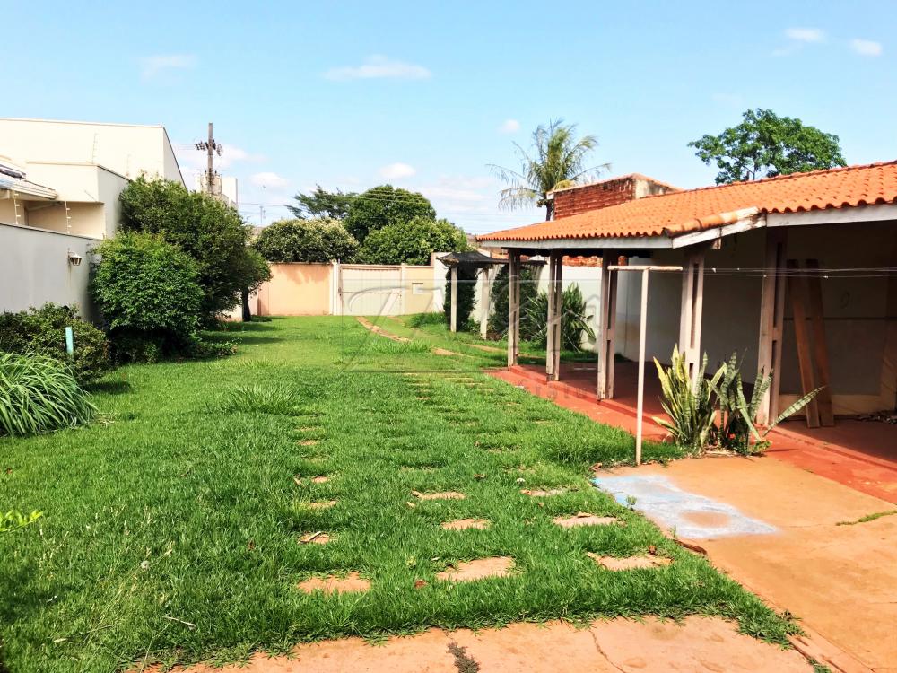 Alugar Residenciais / Casas em Santa Cruz do Rio Pardo R$ 960,00 - Foto 3