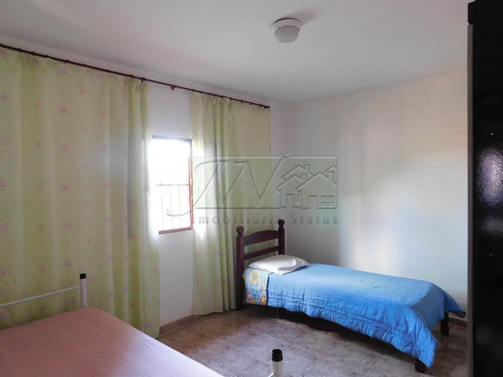 Alugar Residenciais / Casas em Santa Cruz do Rio Pardo R$ 800,00 - Foto 13