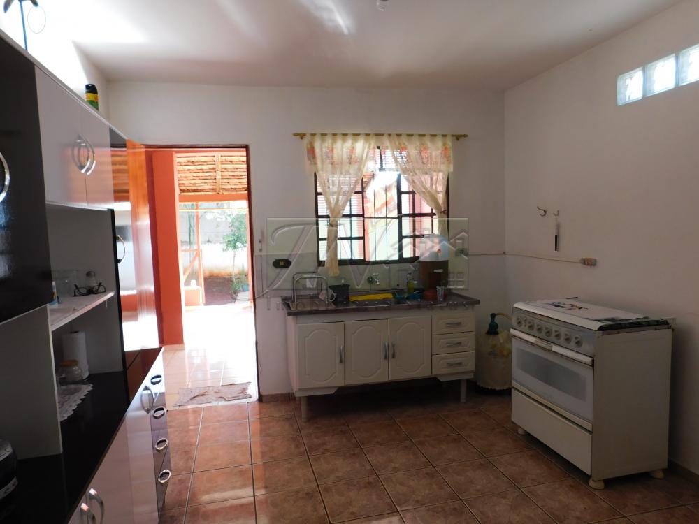 Alugar Residenciais / Casas em Santa Cruz do Rio Pardo R$ 800,00 - Foto 16