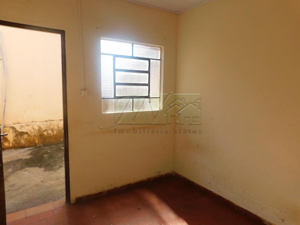 Alugar Residenciais / Casas em Santa Cruz do Rio Pardo R$ 600,00 - Foto 6