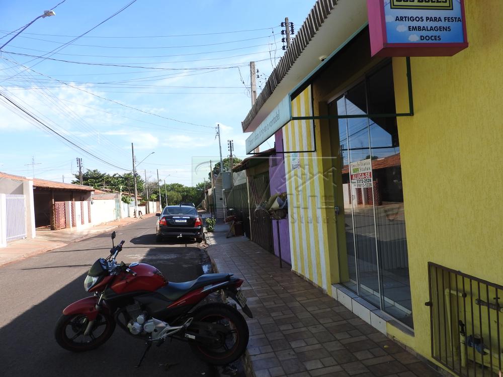 Alugar Comerciais / Sala Comercial em Santa Cruz do Rio Pardo R$ 500,00 - Foto 3