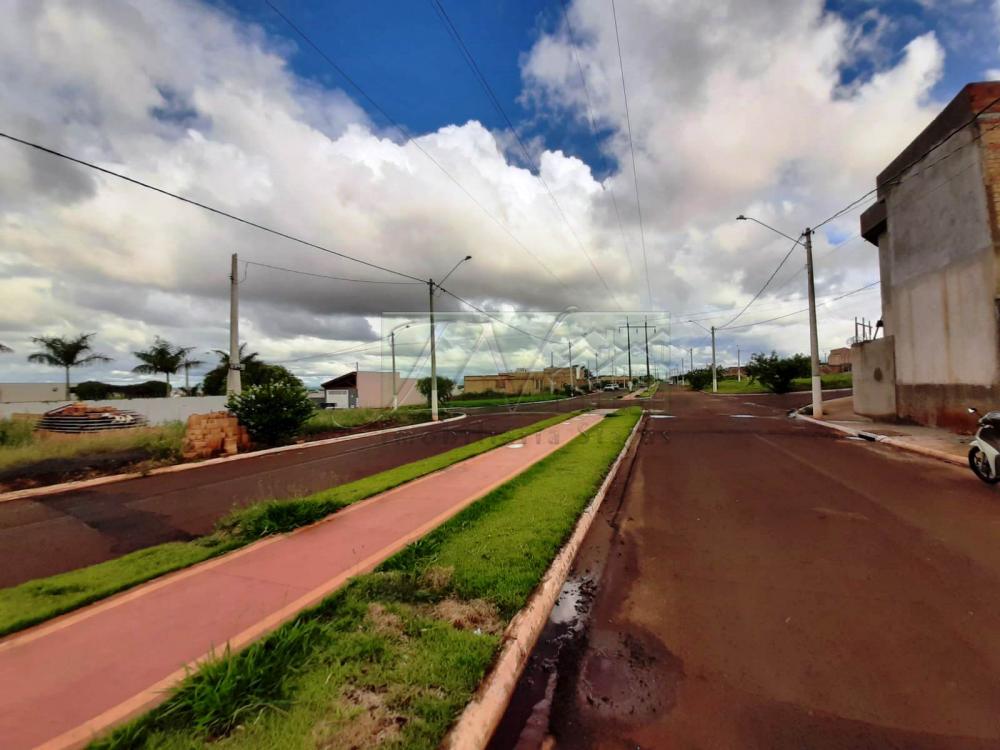 Alugar Residenciais / Casas em Santa Cruz do Rio Pardo R$ 1.650,00 - Foto 4