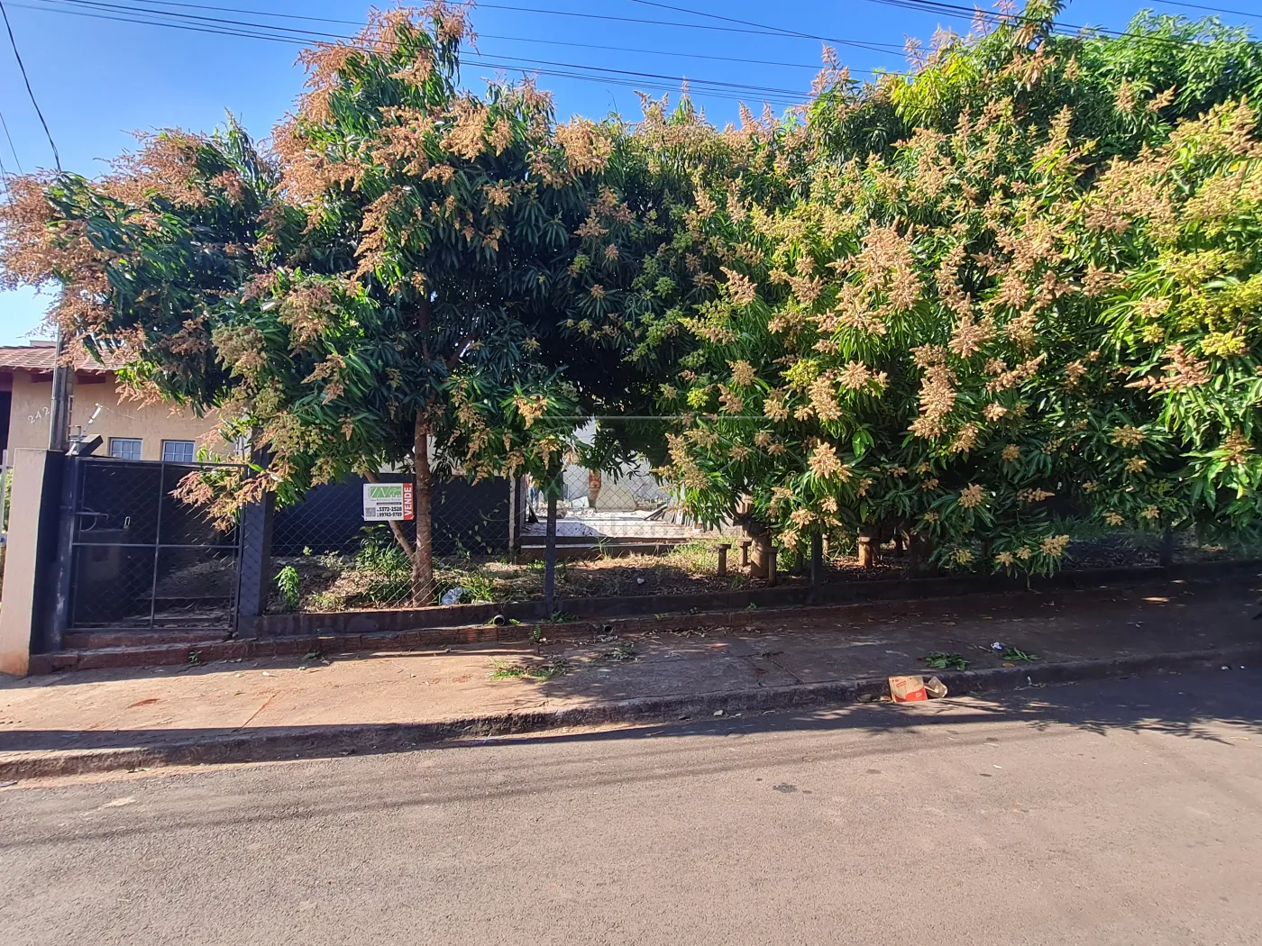 Comprar Terrenos / Lote em Santa Cruz do Rio Pardo R$ 150.000,00 - Foto 2