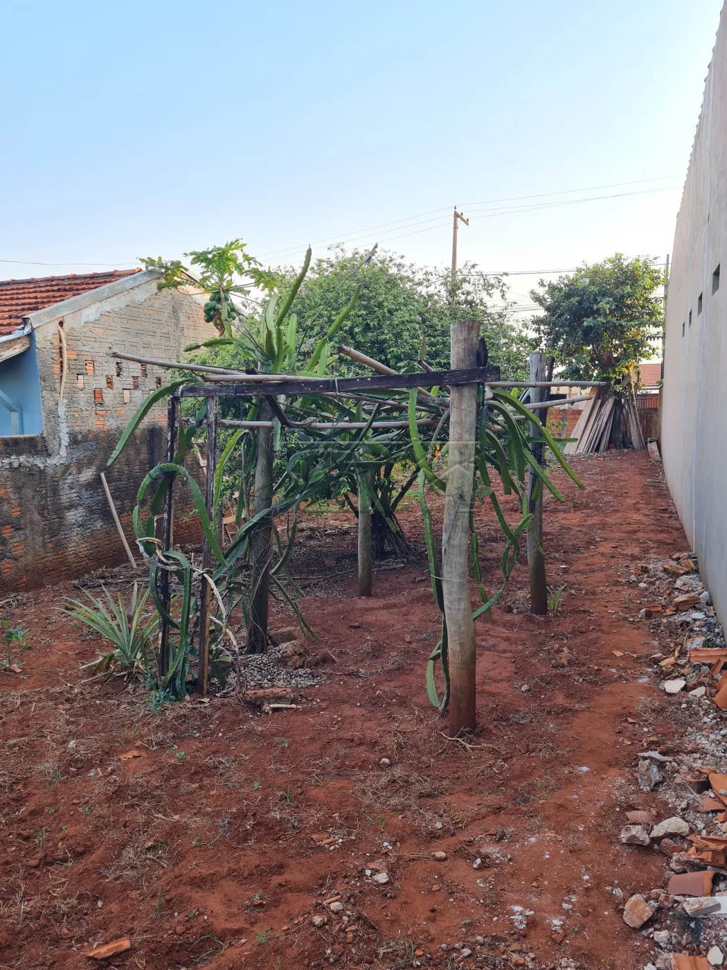 Comprar Terrenos / Lote em Santa Cruz do Rio Pardo R$ 160.000,00 - Foto 3