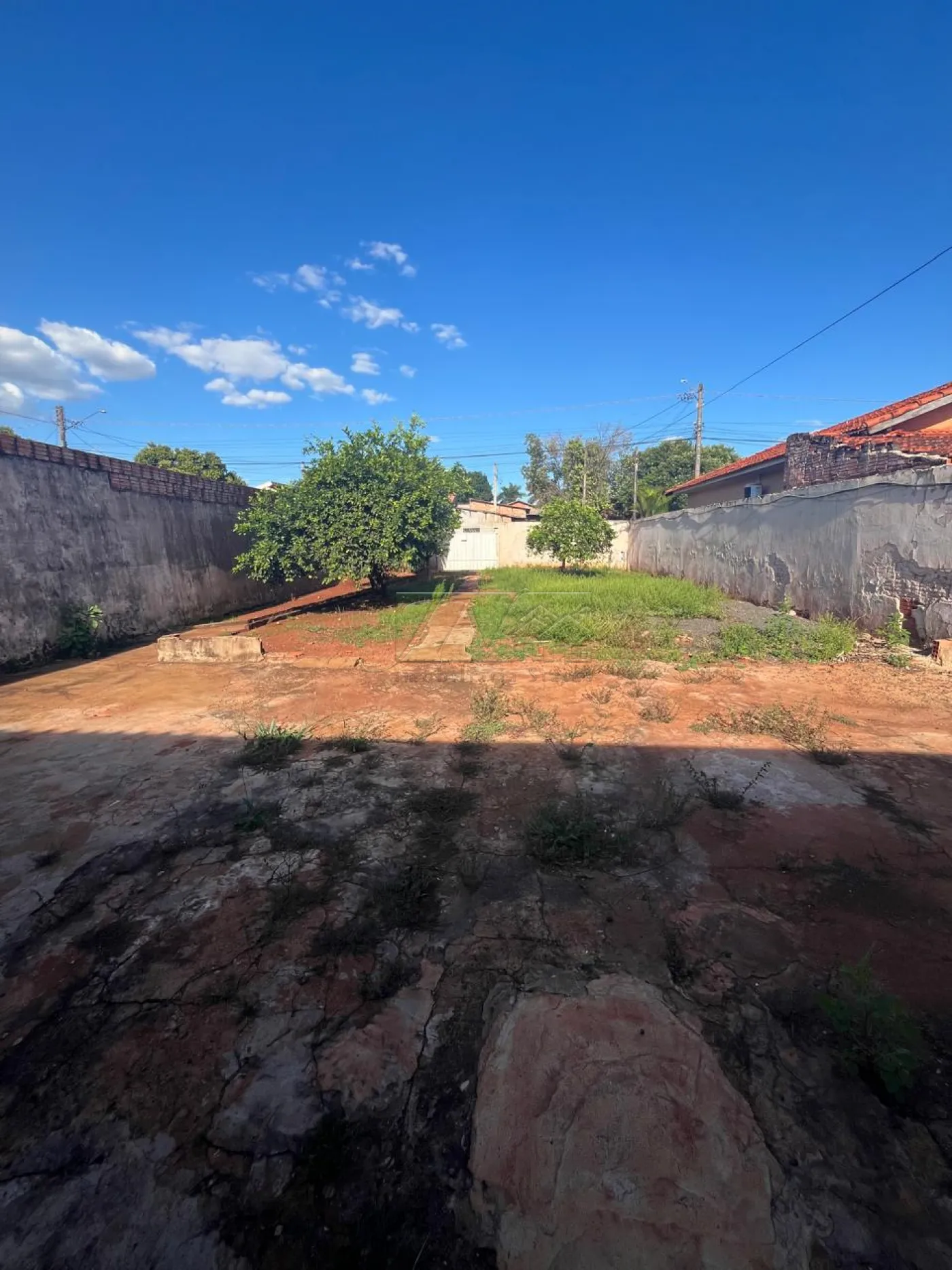 Alugar Residenciais / Casas em Santa Cruz do Rio Pardo R$ 700,00 - Foto 5