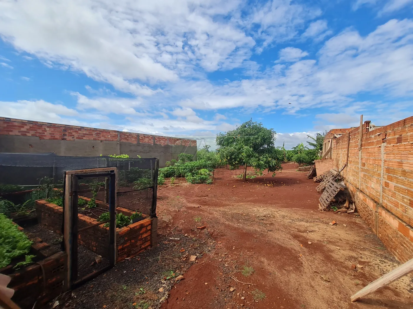 Comprar Terrenos / Lote em Santa Cruz do Rio Pardo R$ 300.000,00 - Foto 4