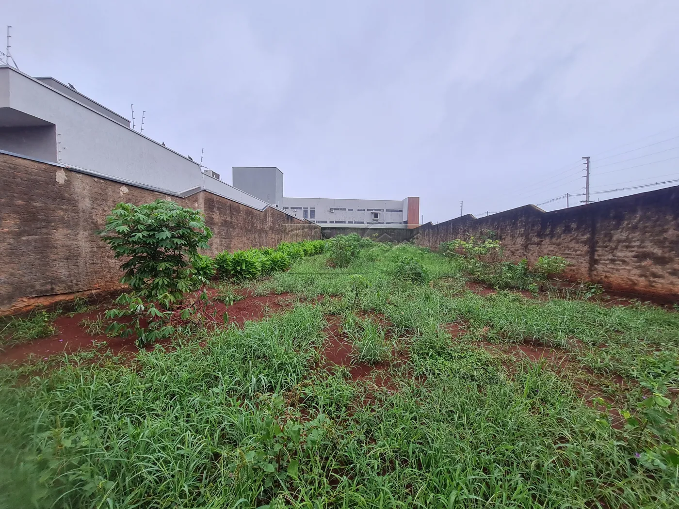 Comprar Terrenos / Lote em Santa Cruz do Rio Pardo R$ 390.000,00 - Foto 3