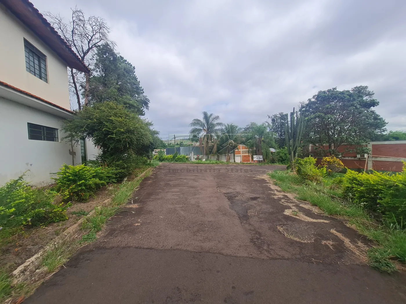 Alugar Comerciais / Galpão em Santa Cruz do Rio Pardo R$ 30.000,00 - Foto 8