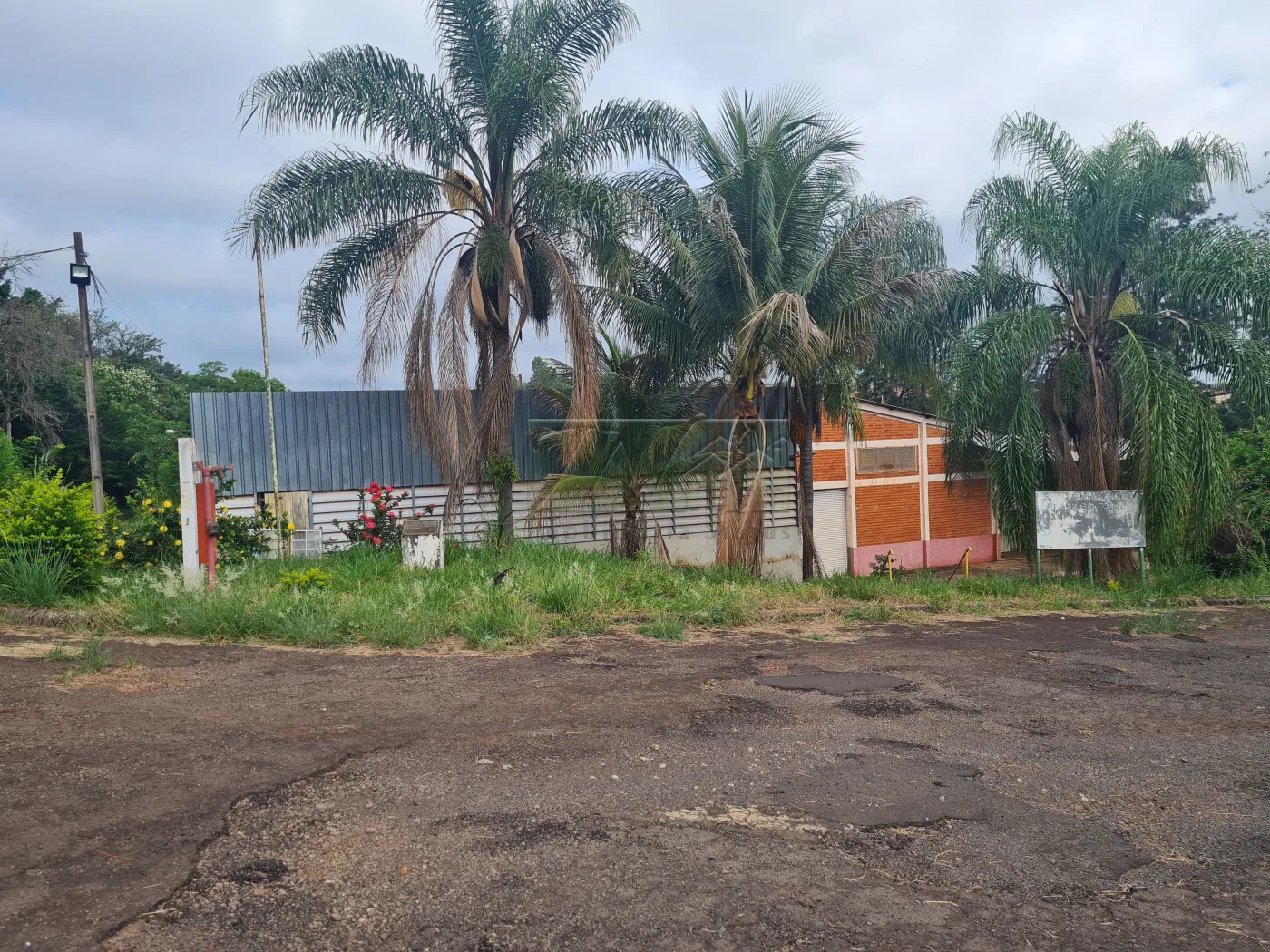 Alugar Comerciais / Galpão em Santa Cruz do Rio Pardo R$ 30.000,00 - Foto 12