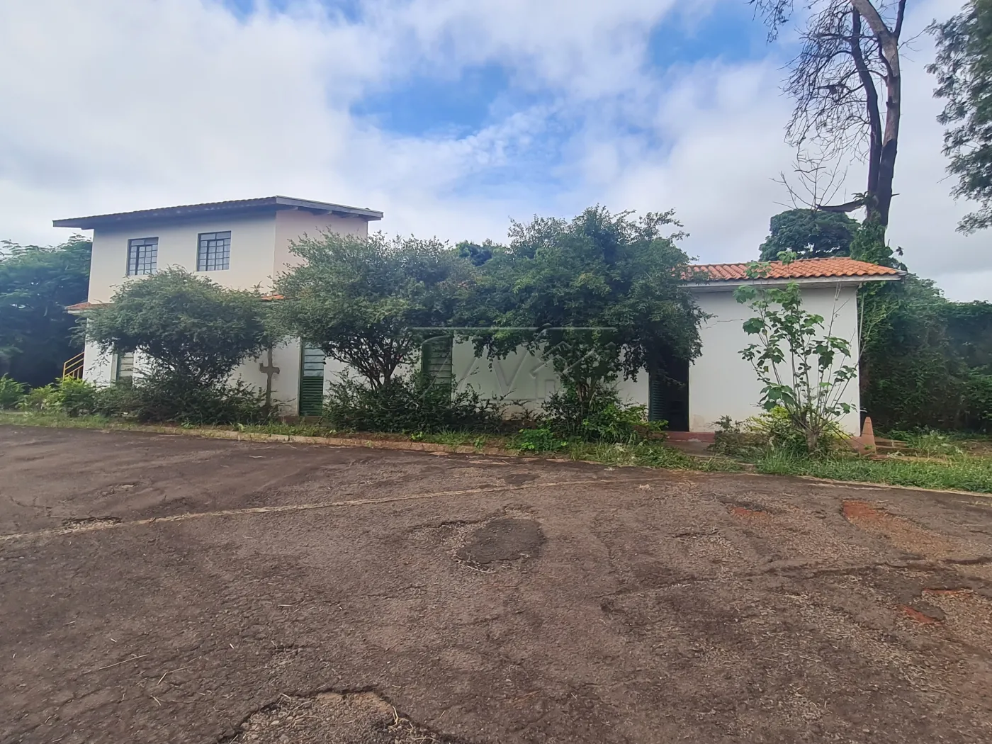 Alugar Comerciais / Galpão em Santa Cruz do Rio Pardo R$ 30.000,00 - Foto 14