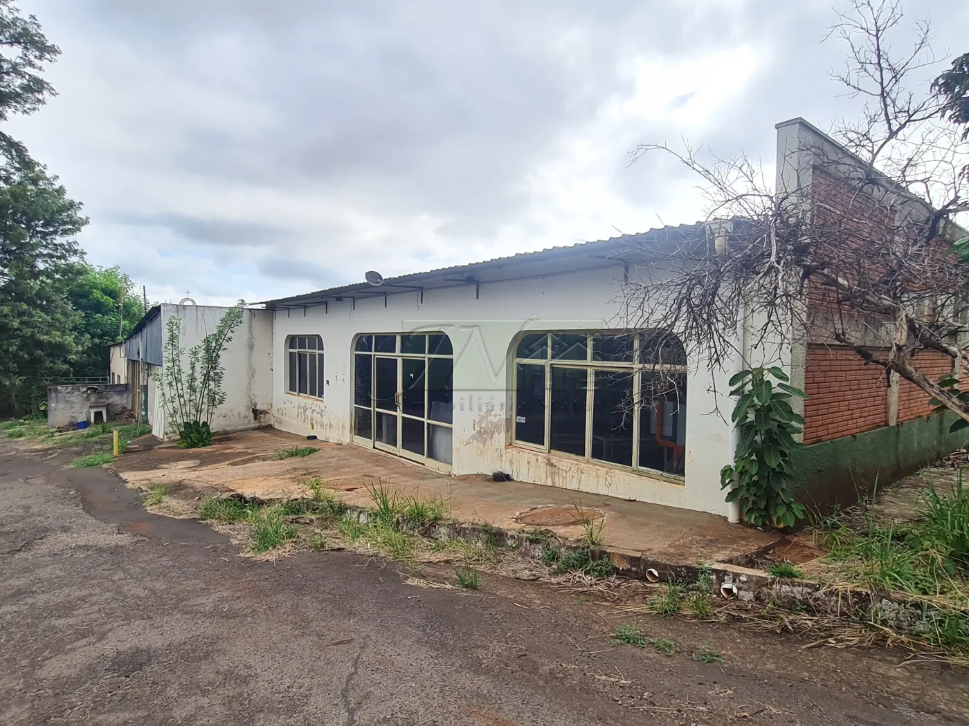 Alugar Comerciais / Galpão em Santa Cruz do Rio Pardo R$ 30.000,00 - Foto 11