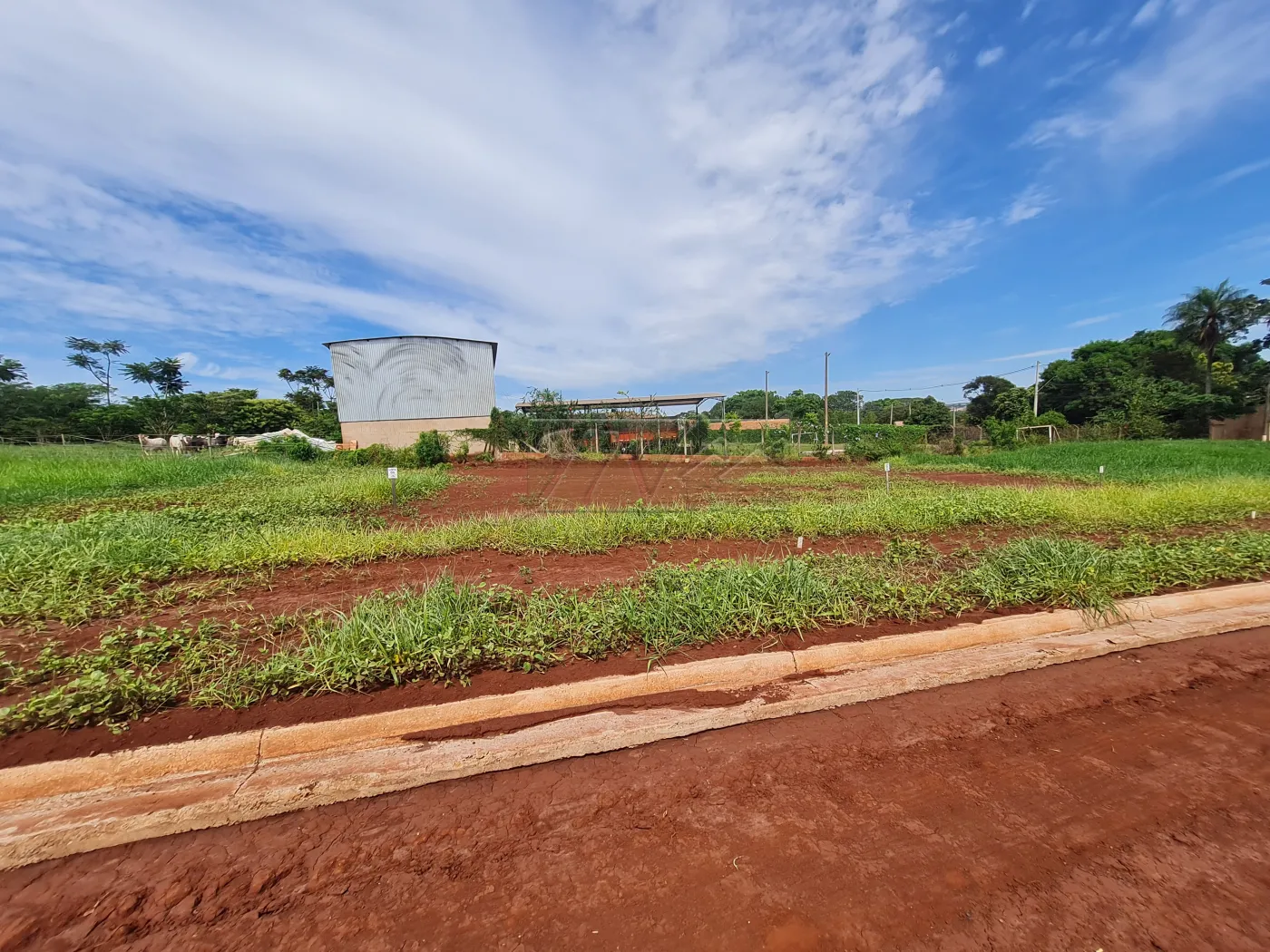 Comprar Terrenos / Lote em Santa Cruz do Rio Pardo R$ 75.000,00 - Foto 1