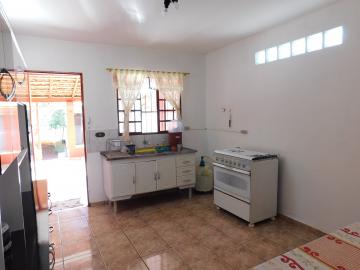 Alugar Residenciais / Casas em Santa Cruz do Rio Pardo R$ 800,00 - Foto 15