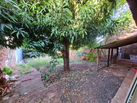 Alugar Comerciais / Galpão em Santa Cruz do Rio Pardo R$ 1.200,00 - Foto 5