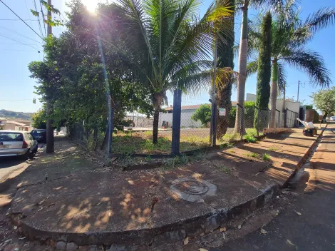 Comprar Terrenos / Lote em Santa Cruz do Rio Pardo R$ 160.000,00 - Foto 1