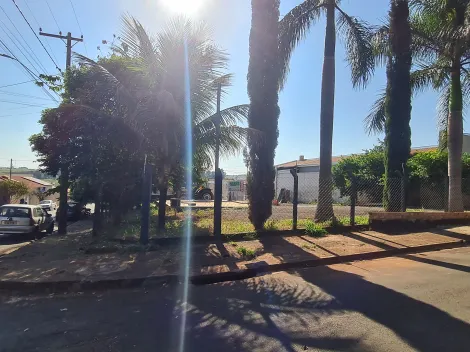 Comprar Terrenos / Lote em Santa Cruz do Rio Pardo R$ 160.000,00 - Foto 4