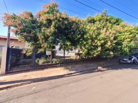 Comprar Terrenos / Lote em Santa Cruz do Rio Pardo R$ 150.000,00 - Foto 1