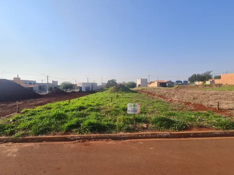 Comprar Terrenos / Lote em Santa Cruz do Rio Pardo R$ 25.000,00 - Foto 1