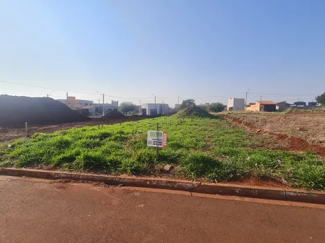 Comprar Terrenos / Lote em Santa Cruz do Rio Pardo R$ 25.000,00 - Foto 2