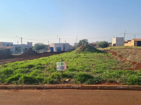 Comprar Terrenos / Lote em Santa Cruz do Rio Pardo R$ 25.000,00 - Foto 3