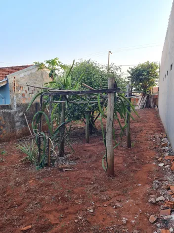 Comprar Terrenos / Lote em Santa Cruz do Rio Pardo R$ 160.000,00 - Foto 3