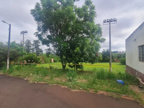 Alugar Comerciais / Galpão em Santa Cruz do Rio Pardo R$ 30.000,00 - Foto 5