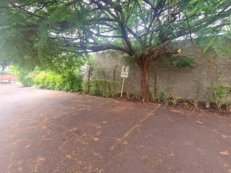 Alugar Comerciais / Galpão em Santa Cruz do Rio Pardo R$ 30.000,00 - Foto 6