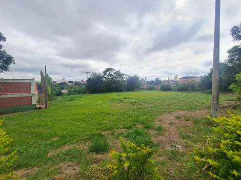 Alugar Comerciais / Galpão em Santa Cruz do Rio Pardo R$ 30.000,00 - Foto 9