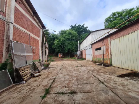 Alugar Comerciais / Galpão em Santa Cruz do Rio Pardo R$ 30.000,00 - Foto 19